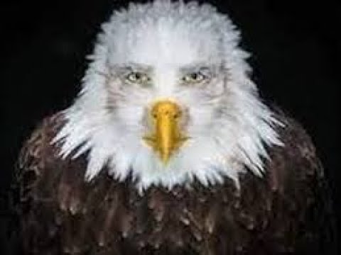 USA